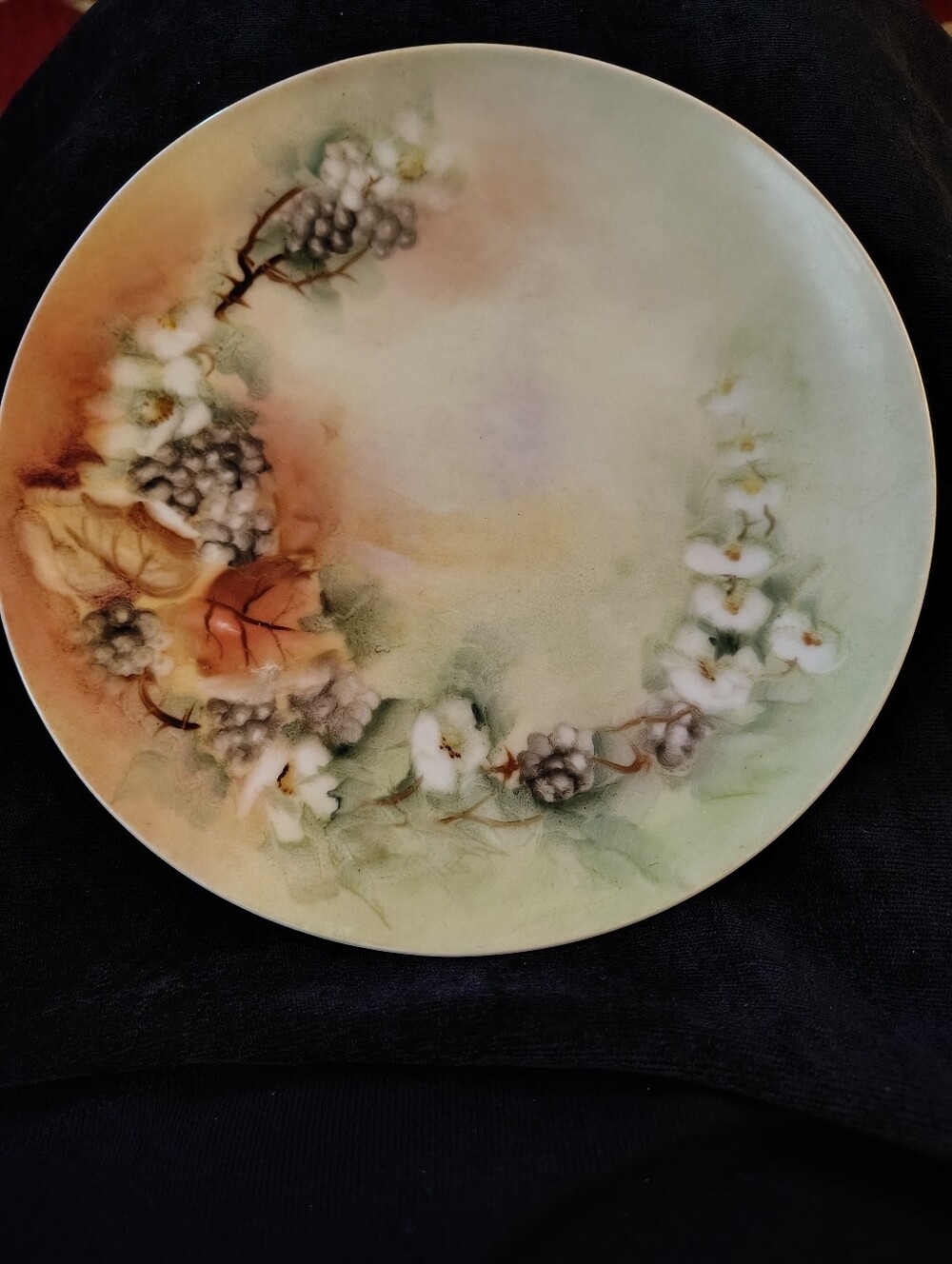 Vtg. Hand painted Porcelain Plate Jaeger & Co. Bavaria